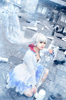 Weiss Schnee: I May Fall