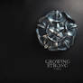 Tyrell. Growing strong