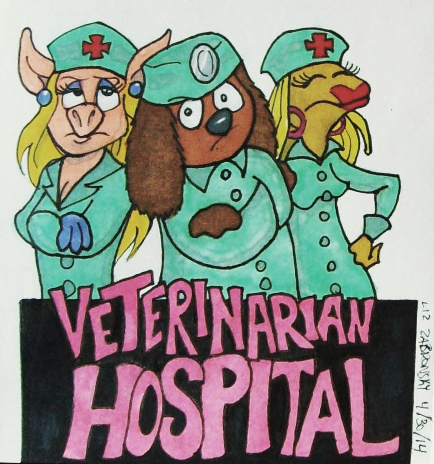 Veterinarian Hospital By LizzyChrome On DeviantArt veterinarian-hospital-by-lizzychrome-on-deviantart