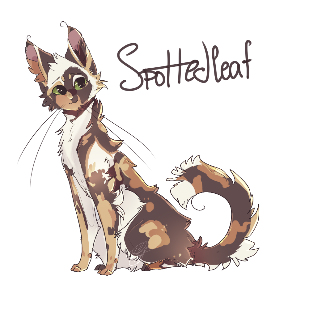 Spottedleaf Warrior Cats By VictoriaTory2020 On DeviantArt spottedleaf-warrior-cats-by-victoriatory2020-on-deviantart