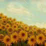 Sunflower Skies (revamp)