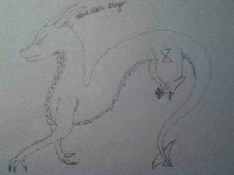 Black Widow Dragon