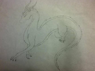 Unnamed Dragon