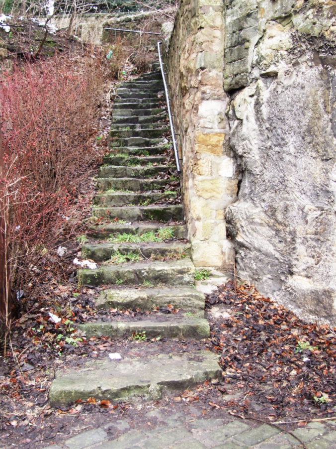 Steps