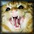 Hissing Cat Avatar