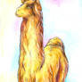 Dreamy Llama