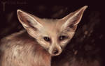 Fennec Foxy by TrollGirl