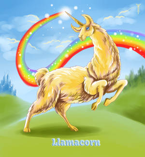 Daily Llama Project - Llamacorn