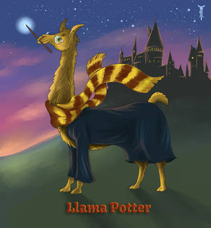 Daily Llama Project - Llama Potter