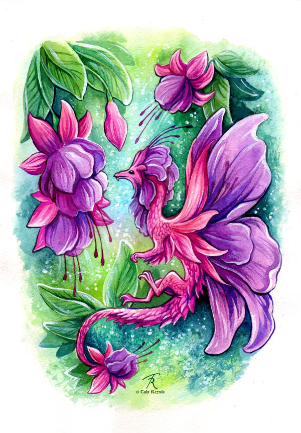 Fuchsia Fairy Dragon