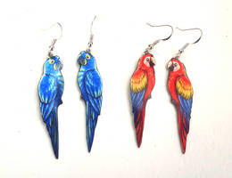 Macaws