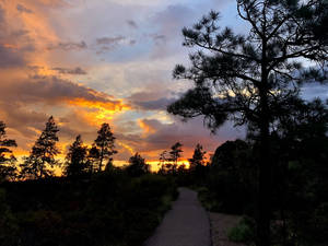 Firesky Sunset