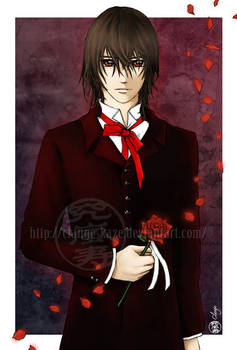 Vampire Knight :  Kuran Kaname