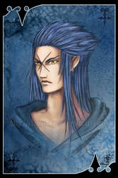 VII Saix - Organisation XIII