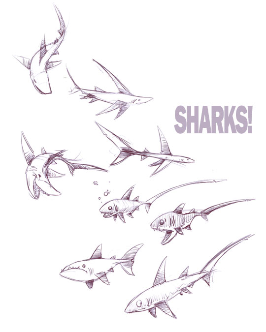 Work shark sketches