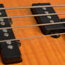 Sunburst Bass