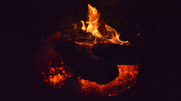 Firelight