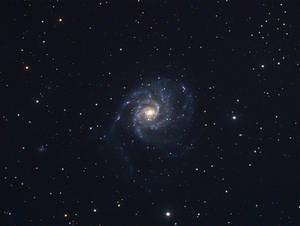 M101