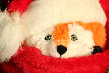 Foxy Santa