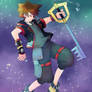 Kingdom Hearts Sleeping Sora