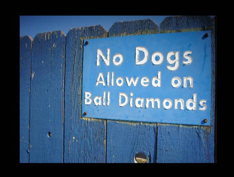 No Dogs Allowed