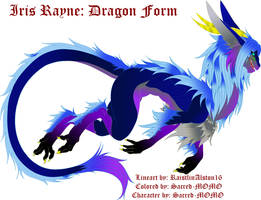 The official colors of Dragon