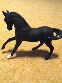 Black Warmblood 2