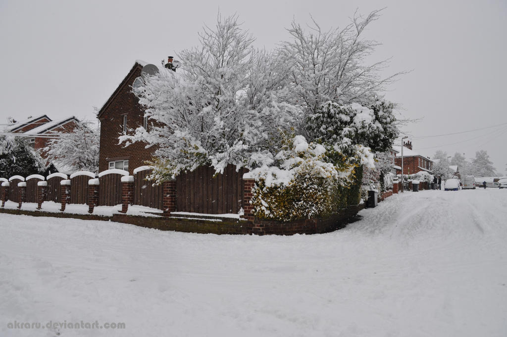 Snow Corner