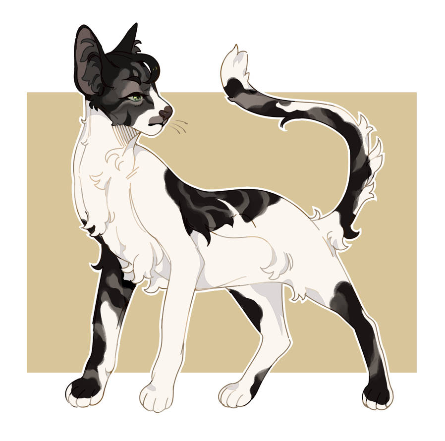 Aleskay Cats