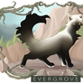 [Evergrove] || Coldpaw of RidgeClan