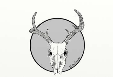 Deer Skull