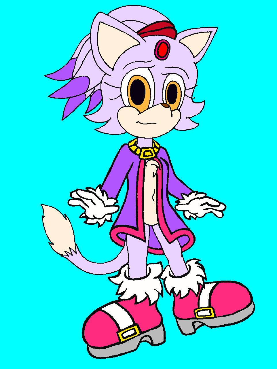 another version of Blaze the cat 2015