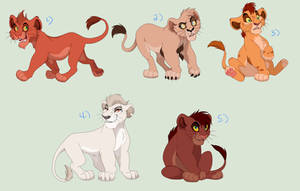 Dots and Spots adopts CLOSED