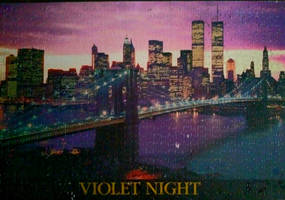 Violet Night 9/11 Never Forget