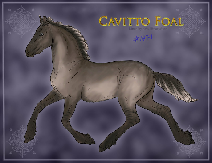 1471 Foal Design