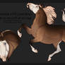 Obertaurer Foal Design