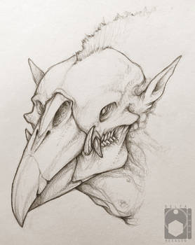 Crowboar Head Sketch