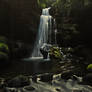 Hawaii Waterfall oil painting