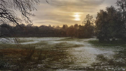 Snow Dust Meadow by Artoast8P