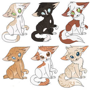 Cat adoptables - Open 6/6