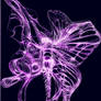 Butterfly Variation in Purple