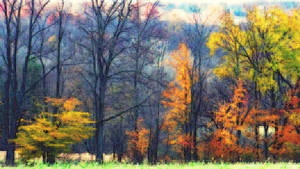 Shades of Autumn 26