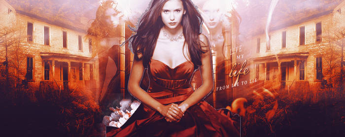 Nina Dobrev Header