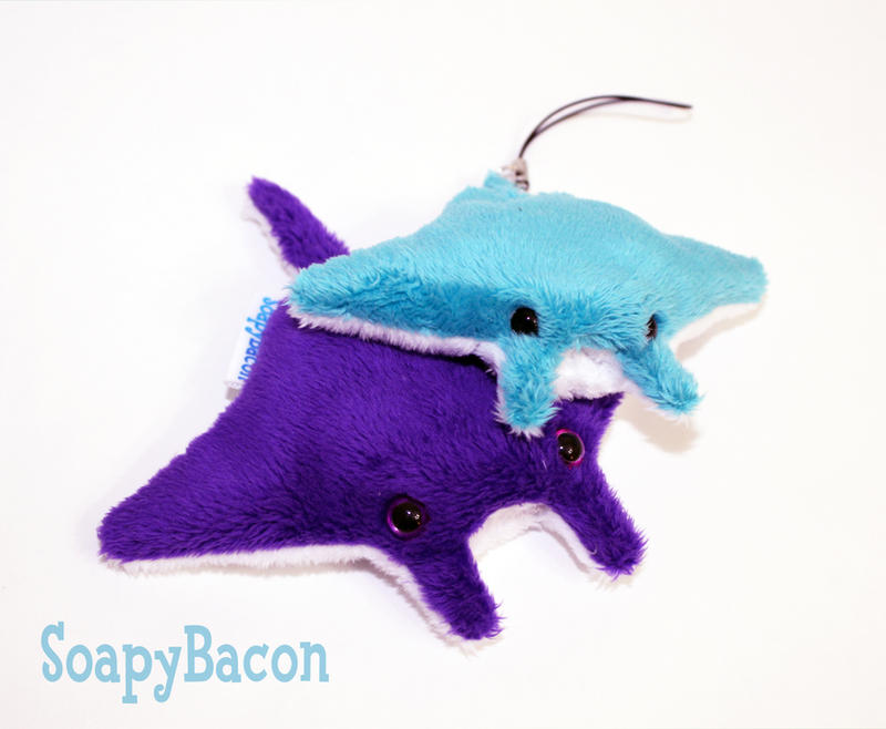 Purple and Teal Manta Ray Beanies