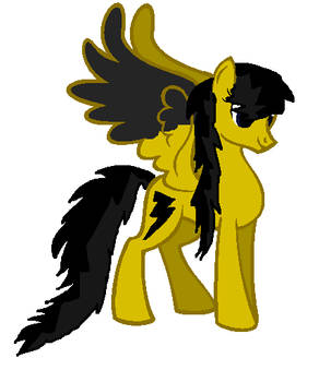 Me as a adut pegasus