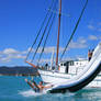 whitesunday boat tours