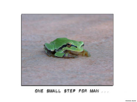 A Small Step For Man 01