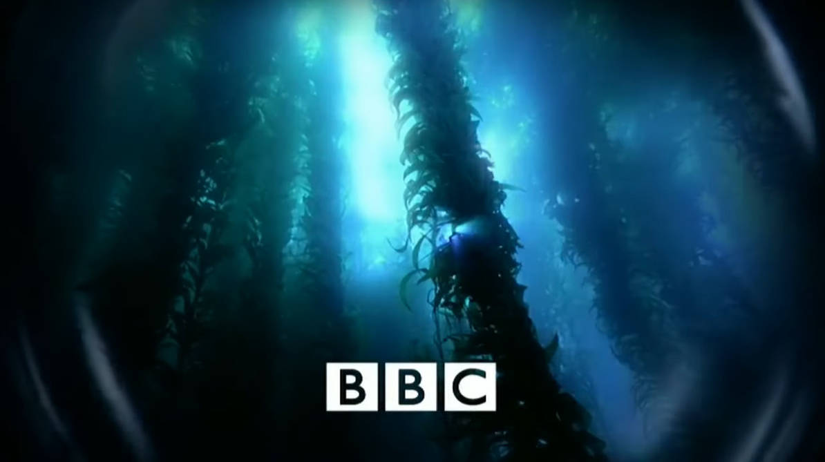 Blue Planet Script The Blue Planet BBC Intro by dinosaurman217 on DeviantArt