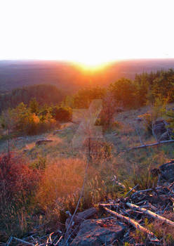 Bald Hills Sunset