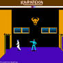 Karateka Wallpaper 2